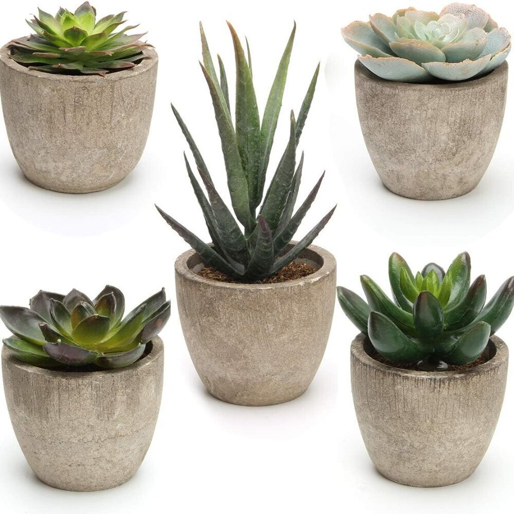 Artificial Succulent Plants Potted, Assorted Decorative Faux Succulent Potted Fa